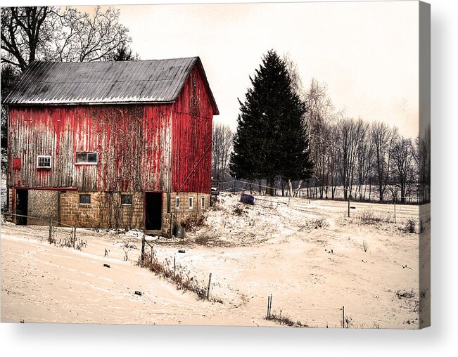 Acrylic Print featuring the photograph Lwv50029 by Lee Winter