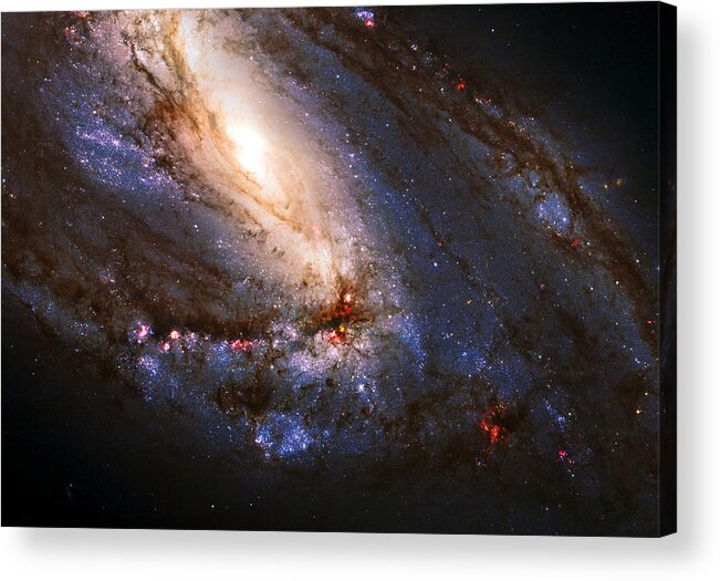 M66 Acrylic Print featuring the photograph M66 Leo Triplet by Ricky Barnard