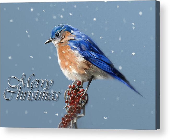 Bluebird Acrylic Print featuring the digital art Merry Christmas - Bluebird by Arie Van der Wijst