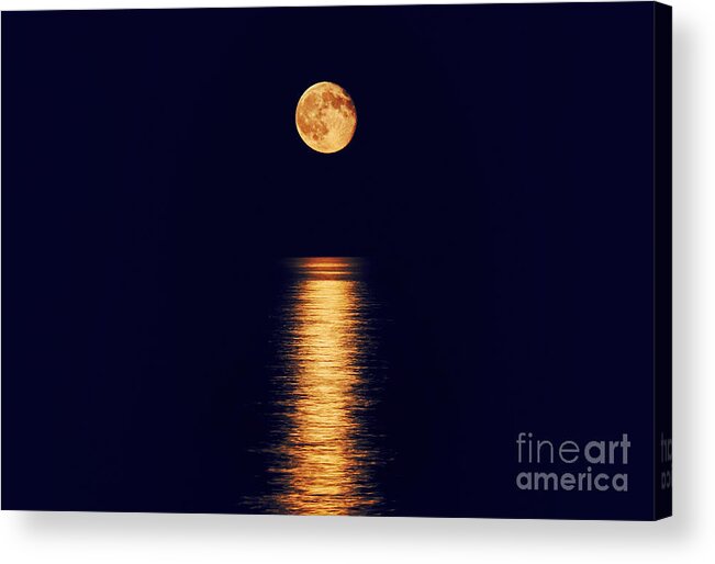 Moon Acrylic Print featuring the photograph Moonlight by Charline Xia