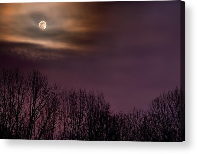2008 Acrylic Print featuring the photograph Moonrise over Weldon Springs by Robert Charity