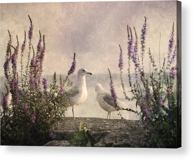 Gulls Acrylic Print featuring the photograph Morning Abeyance by Dale Kincaid