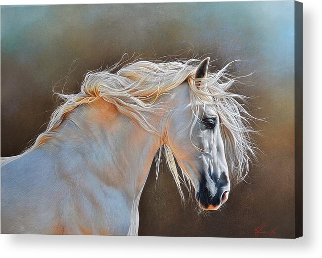 Andalusian Acrylic Print featuring the drawing Morning glow by Elena Kolotusha