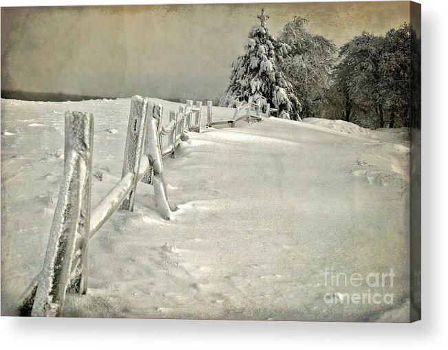 Snow Acrylic Print featuring the photograph Mother Nature's Christmas Tree by Lois Bryan