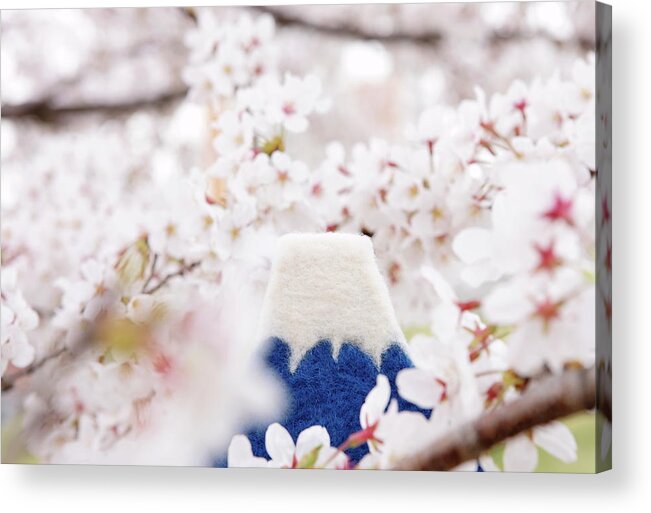 Snow Acrylic Print featuring the photograph Mt. Fuji,cherry Blossoms by Sot