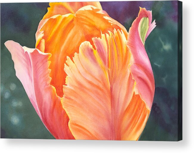 Tulip Acrylic Print featuring the painting Multicolored Tulip - transparent watercolor by Elena Polozova