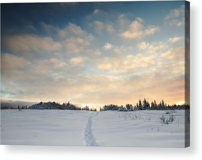 Alaska Acrylic Print featuring the photograph My Chosen Path by Michele Cornelius