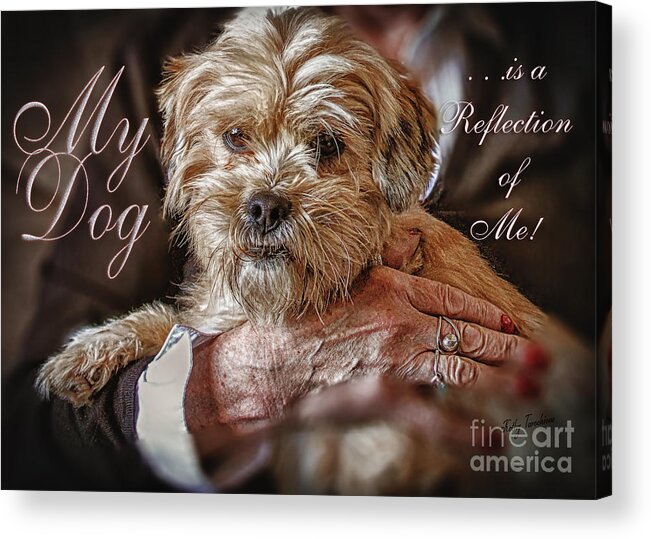 Charlie Tarochione Acrylic Print featuring the digital art My Dog Is A Reflection Of Me by Kathy Tarochione