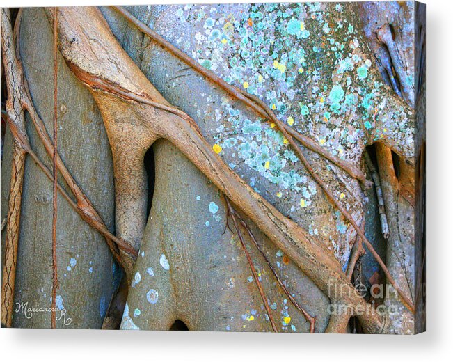 Abstracts Acrylic Print featuring the photograph Nature's Abstracts by Mariarosa Rockefeller