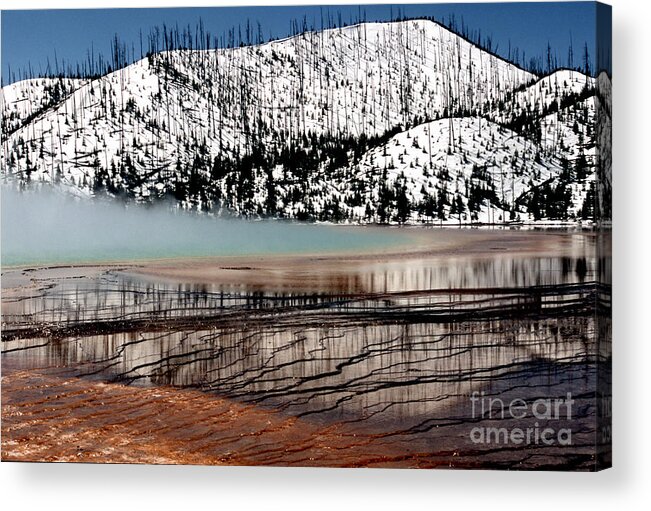 Yellowstone National Park Acrylic Print featuring the photograph Nature's Mosaic I by Sharon Elliott