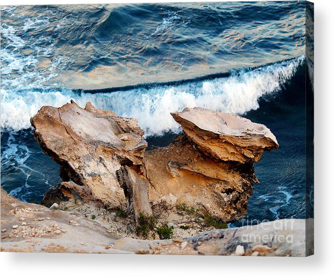 Fine Art Photography Acrylic Print featuring the photograph Natures Sculptures I by Patricia Griffin Brett