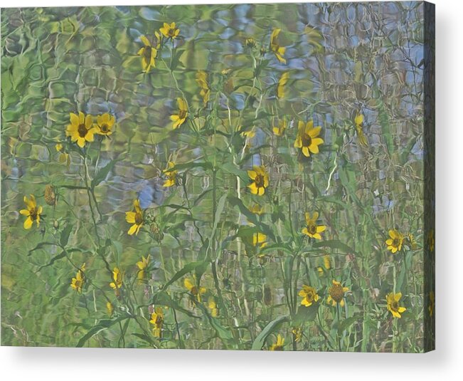 Flowers Acrylic Print featuring the photograph Nature's Vanity by Jeff Cook