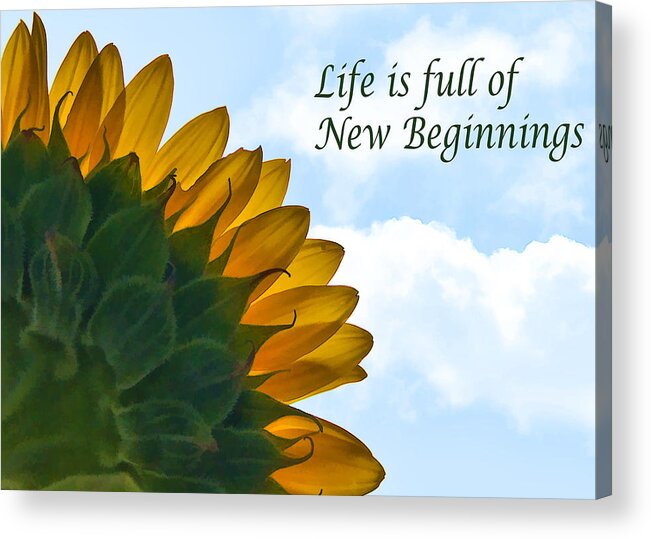 Sunflower Acrylic Print featuring the photograph New Beginnings by Cathy Kovarik