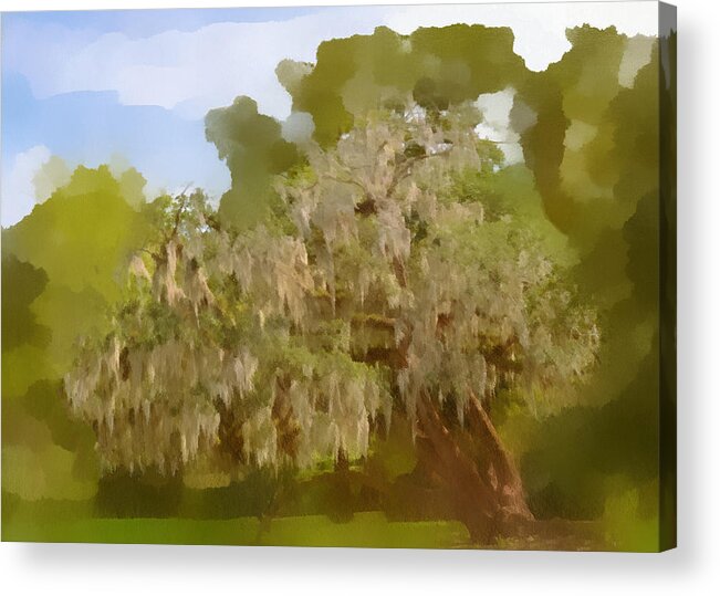 Spanish Acrylic Print featuring the photograph New Orleans Spanish Moss on Live Oaks by Alexandra Till