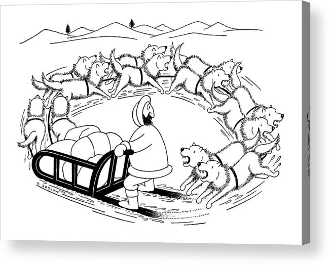 (eskimo On Dog Sled Acrylic Print featuring the drawing New Yorker December 12th, 1959 by Otto Soglow