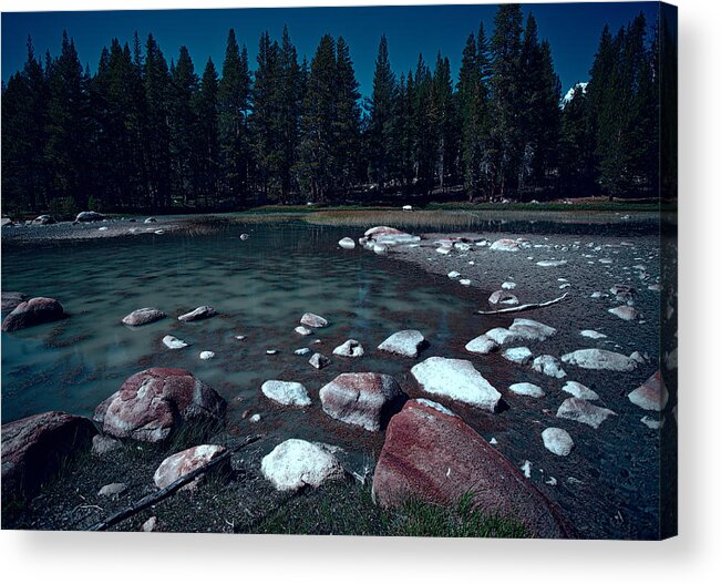 Forest Acrylic Print featuring the photograph Night Closes In by Bonnie Bruno