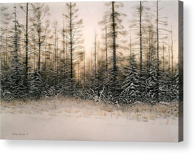 Winter Acrylic Print featuring the painting Norther Bush-Country by Conrad Mieschke