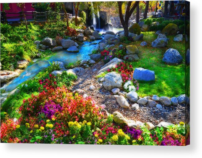 Beauty Acrylic Print featuring the photograph Oasis  by Lynn Bauer
