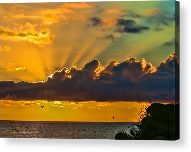 Sunrise Acrylic Print featuring the photograph Oceanfront Sunrise by Don Durfee