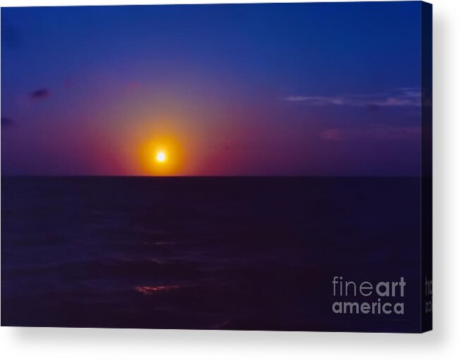 Beauty Acrylic Print featuring the photograph On The Horizon by Anita Lewis