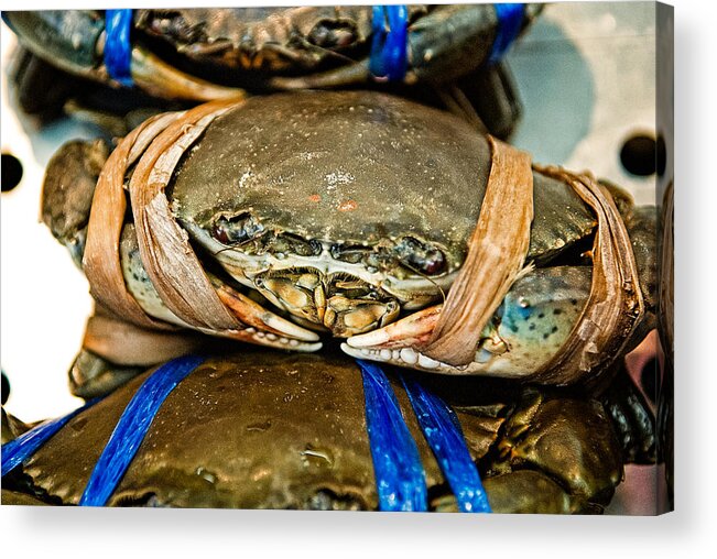 Crab Acrylic Print featuring the photograph Ooh Crab by Dean Harte