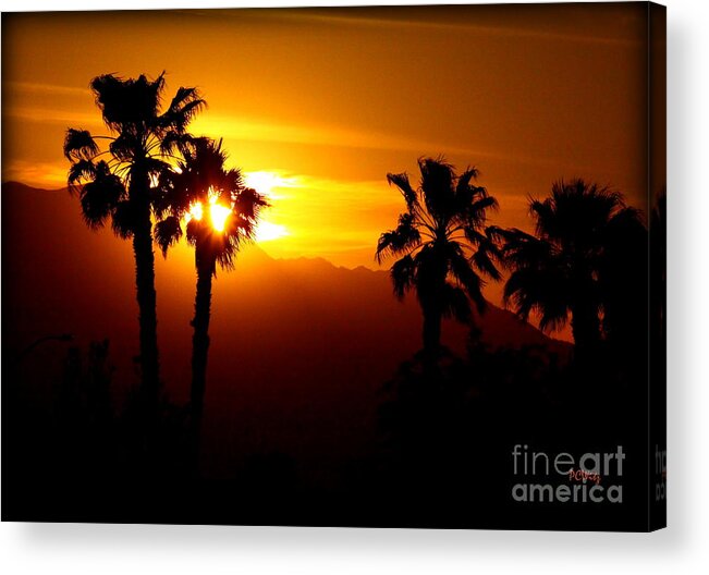 Sunset Acrylic Print featuring the photograph Palm Desert Sunset by Patrick Witz