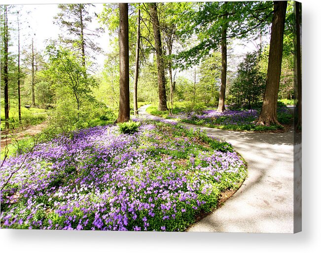 Spring Acrylic Print featuring the photograph Path of Serenity by Trina Ansel