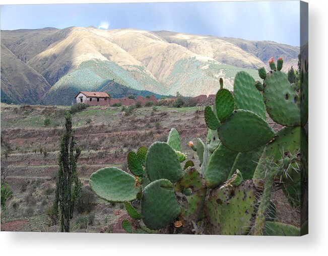 Photograph Acrylic Print featuring the photograph Peru Agriculture and Countryside by Cascade Colors