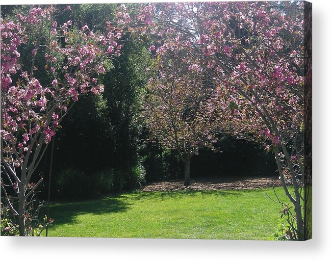 Landscape Acrylic Print featuring the photograph Petty in Pink by Marian Jenkins