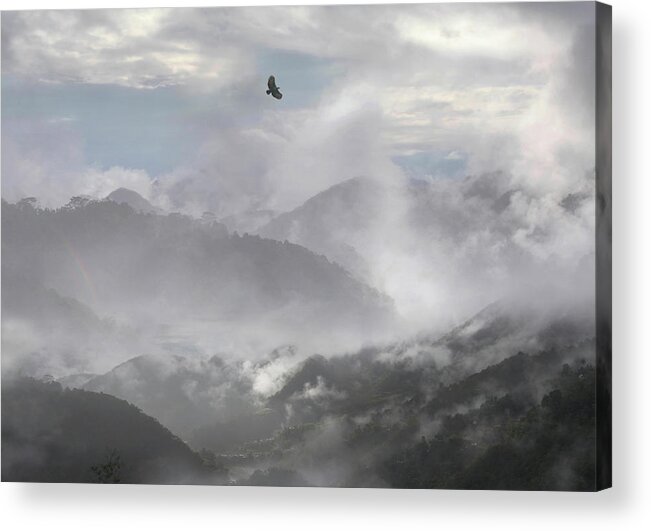 Adler Acrylic Print featuring the photograph Philippine Eagle Over Rice Terraces by Per-Andre Hoffmann