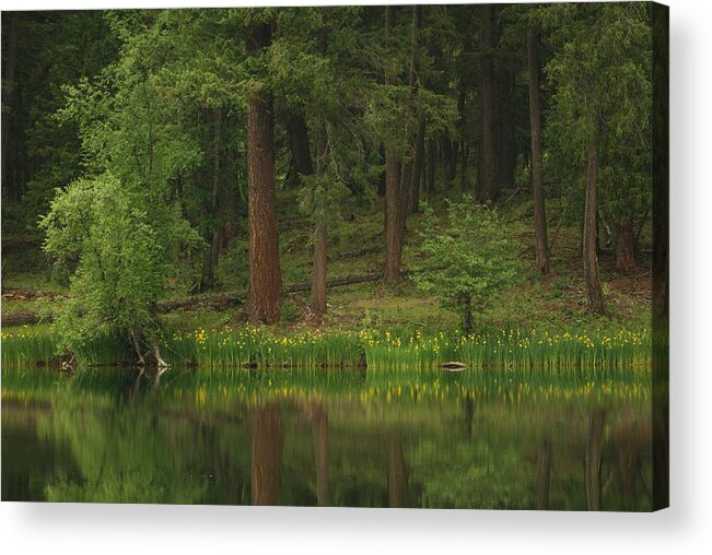 Lake Acrylic Print featuring the photograph Pierre Lake by Loni Collins