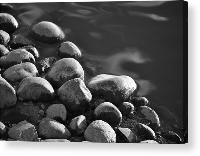 Black And White Acrylic Print featuring the photograph Pond's Edge 2 by JustJeffAz Photography