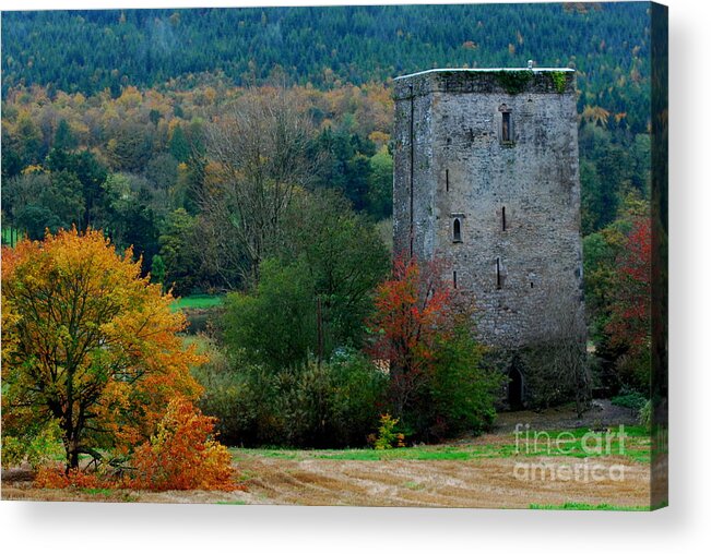 An Autumn Scene Of Poulakerry Castle On The Banks Of The River Suir At Poulakerry Acrylic Print featuring the photograph Poulakerry Castle by Joe Cashin