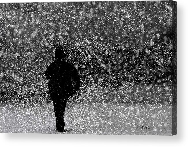 Snow Acrylic Print featuring the painting Power Walking in a Snow Storm by George Pedro