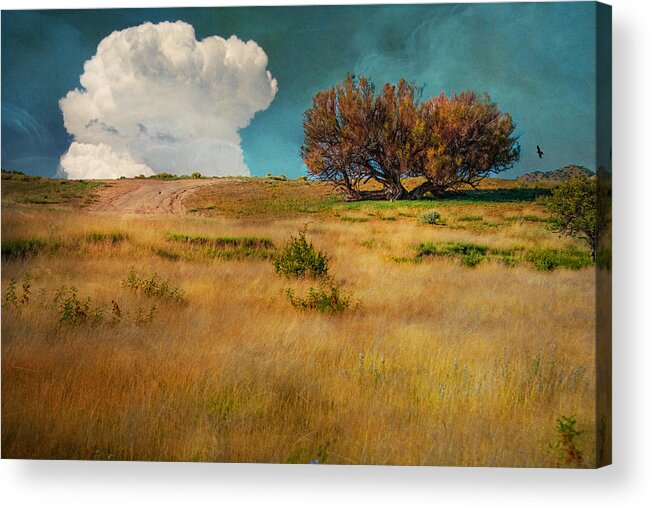 Trees Acrylic Print featuring the photograph Puffy cloud by Carolyn D'Alessandro