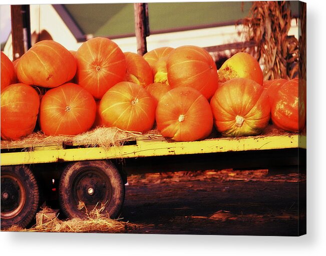 Fine Art Acrylic Print featuring the photograph Pumpkin Load by Rodney Lee Williams