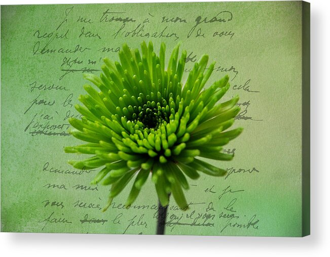 Green Acrylic Print featuring the photograph Pure Green 2 by Linda Segerson