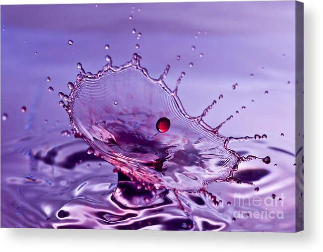 Water Splash Acrylic Print featuring the photograph Purple Water Splash by Anthony Sacco