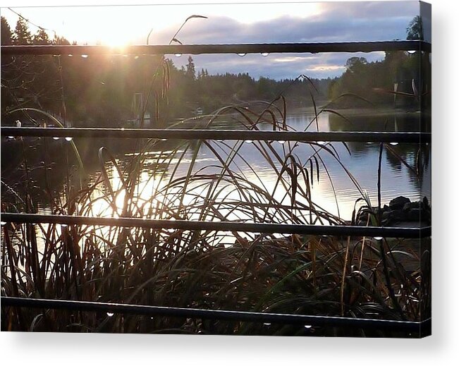 Raindrops On Railing Acrylic Print featuring the photograph Rain drops on Railing River View 1 by Susan Garren