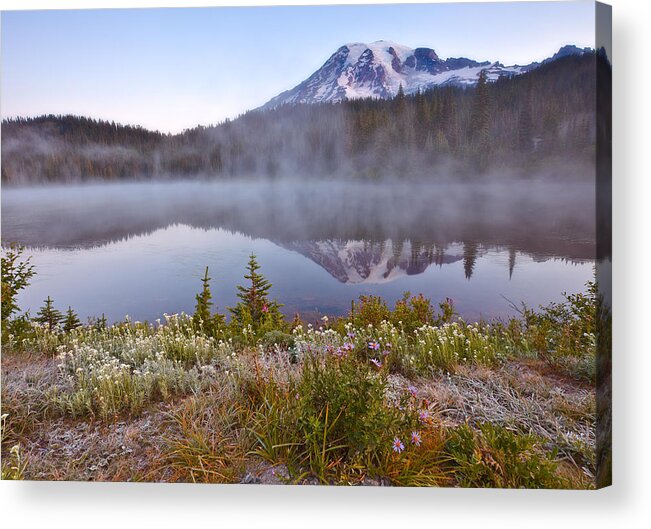 Wildflowers Acrylic Print featuring the photograph Rainier Morning by Darren White