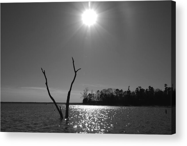 Skyline Acrylic Print featuring the photograph Rayburn Sky by Max Mullins