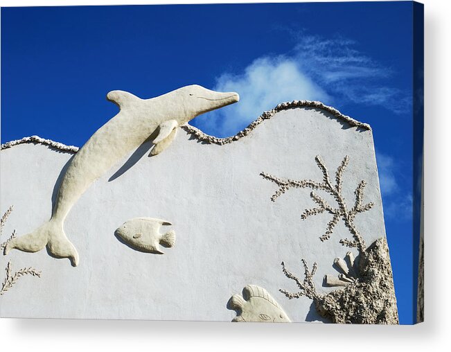 Dolphin Acrylic Print featuring the photograph Reaching The Sky by Ramunas Bruzas