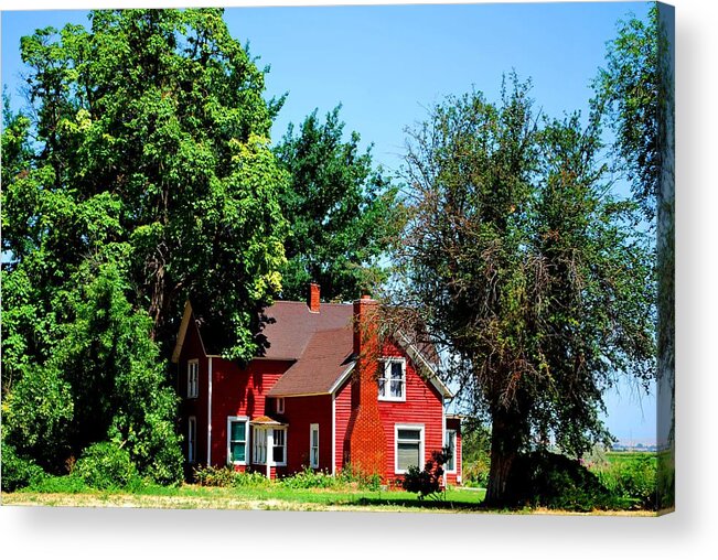 Barn Acrylic Print featuring the photograph Red Barn and Trees by Matt Quest