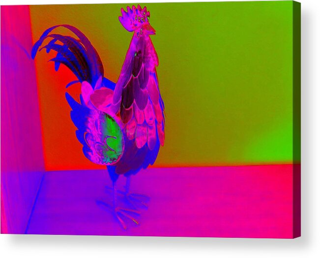 Rooster Acrylic Print featuring the photograph Red Hot Rooster by Florene Welebny