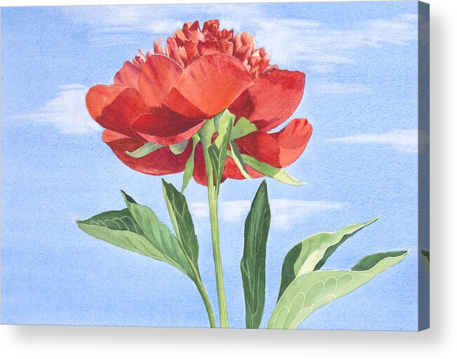 Red Peony Acrylic Print featuring the painting Red Peony by Elena Polozova