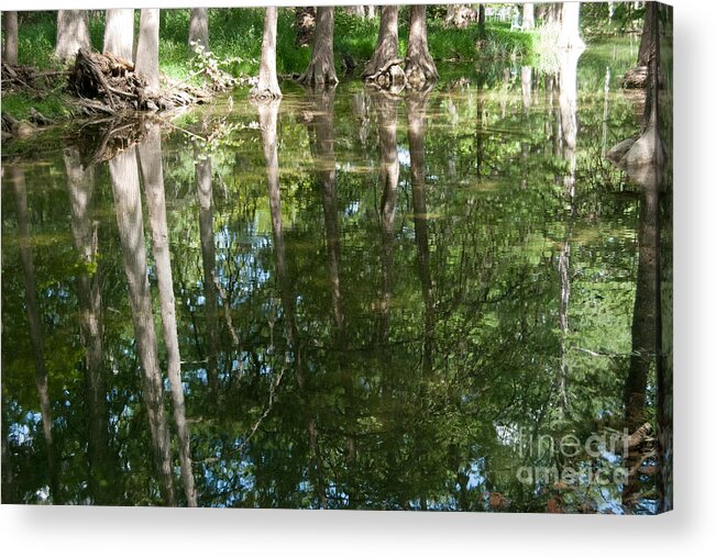 Landscape Acrylic Print featuring the photograph Reflections by Barbara Shallue
