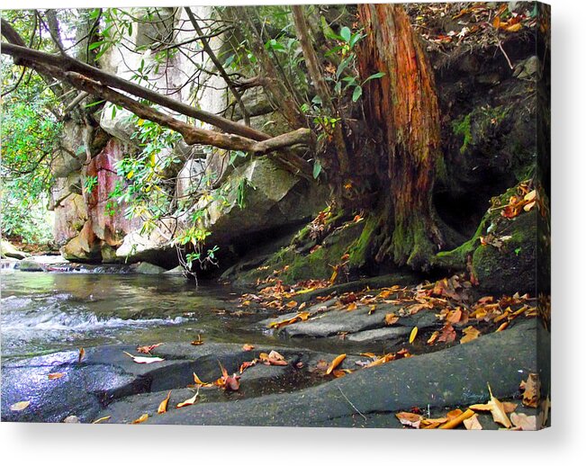 Waterfalls Acrylic Print featuring the photograph River Shoreline by Duane McCullough