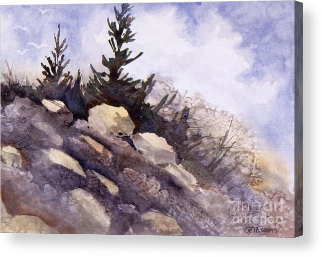 Rocks Acrylic Print featuring the painting Rocks by Teresa Ascone