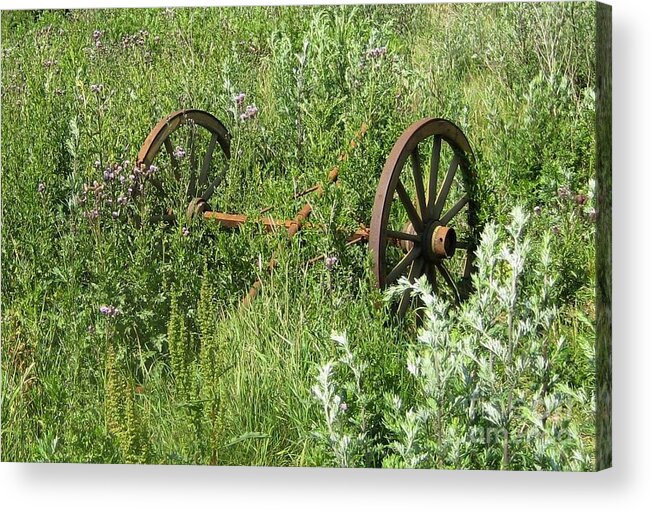 Meadow Acrylic Print featuring the photograph Rusty wheels by Susanne Baumann