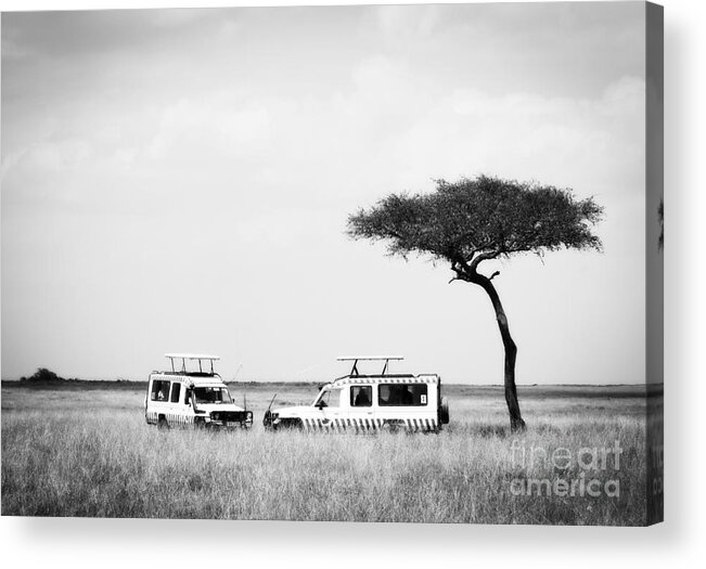 Africa Acrylic Print featuring the photograph Safari Dream by Chris Scroggins